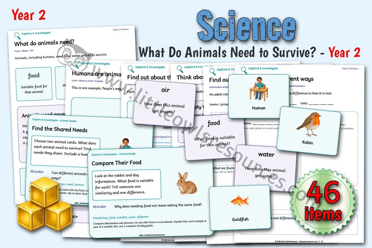 What Do Animals Need to Survive? - Year 2