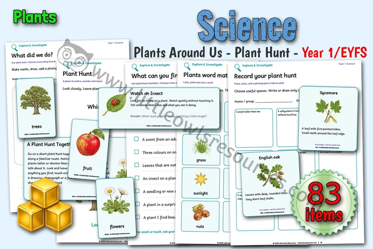 Plants Around Us - Plant Hunt - Year 1 & EYFS