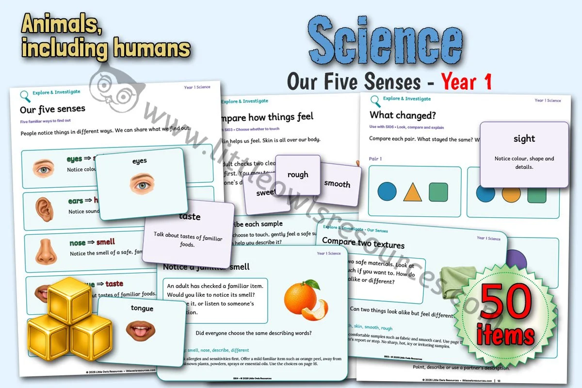 Our Five Senses - Year 1