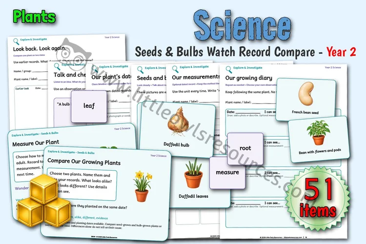 Seeds & Bulbs — Watch, Record & Compare cover