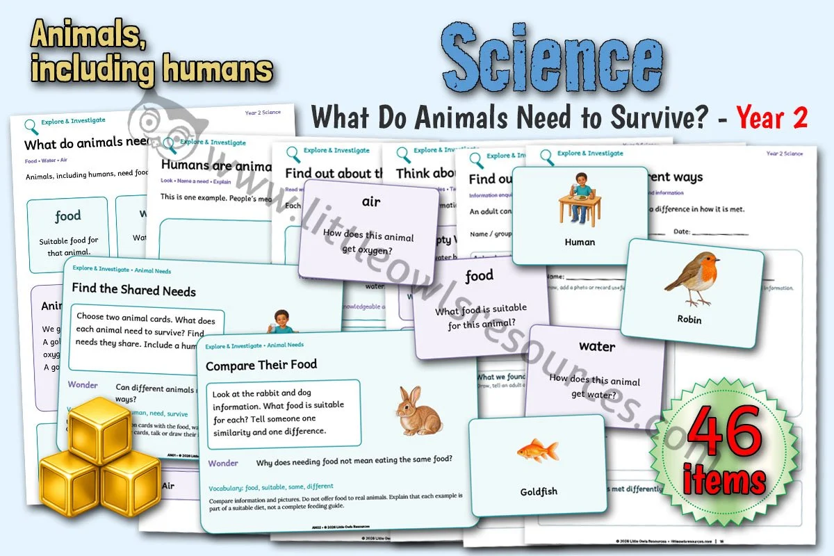 What Do Animals Need to Survive? - Year 2