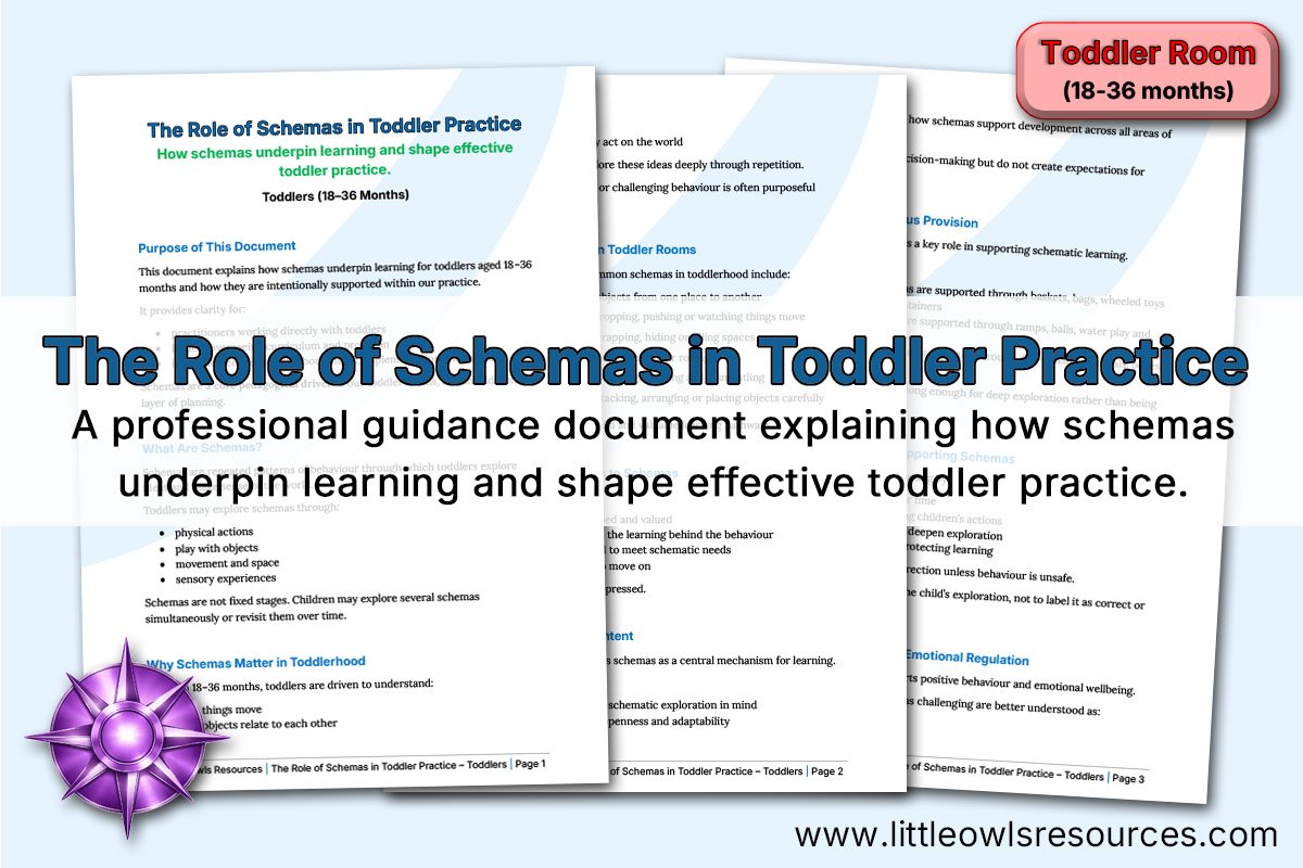 The Role of Schemas in Toddler Practice (18-36 Months) 