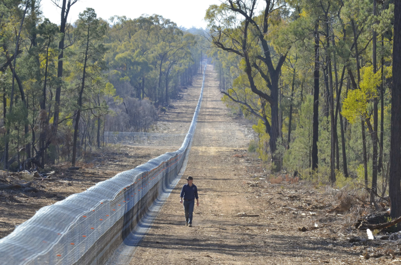 800_pilliga-fence-staff-july-2018_27k0705acr-2.jpg