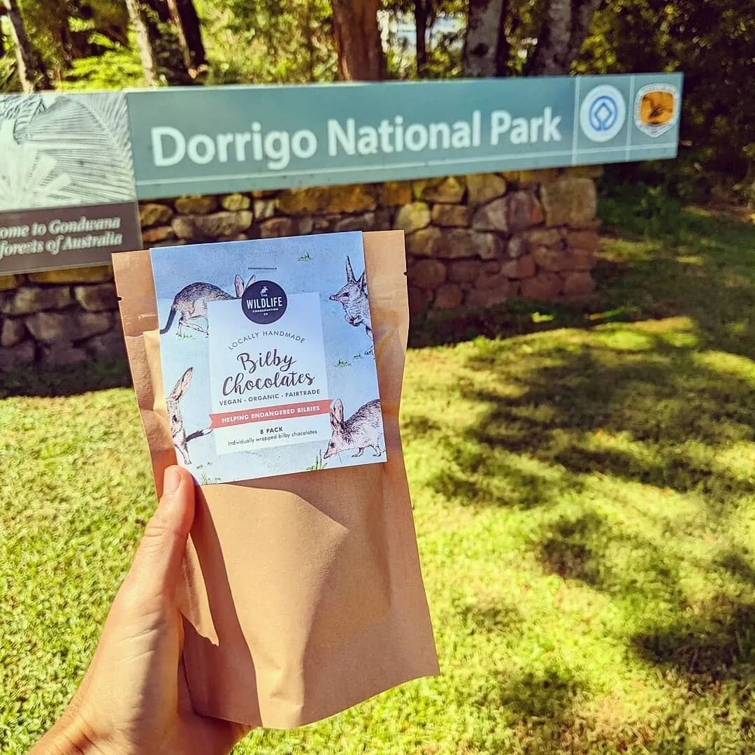 We love visiting the Dorrigo Rainforest Centre to deliver chocolates! 🌴💚🌱🌿
It is such a great spot to explore the ancient Gondwana forests. 

#bilbyconservation
#nswparksandwildlife #dorrigo #dorrigonationalpark #bilby #easterbilbychocolates #bil