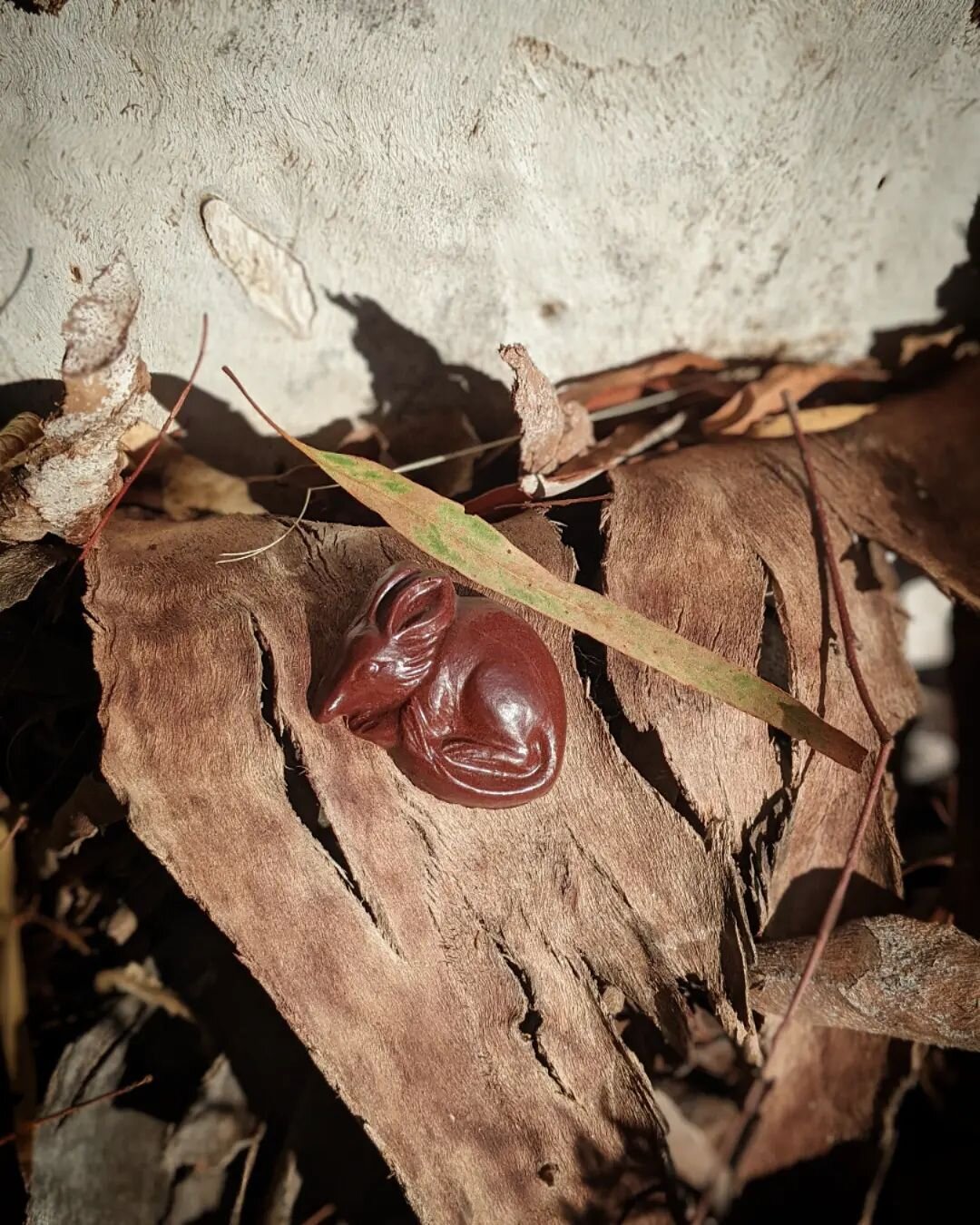 Easter in Autumn ✨🍂

#australianeaster #easterbilby #australiannative #eucalyptus #bilby #easterinautumn #easterweekend #bilbyconservation #welovebilbies