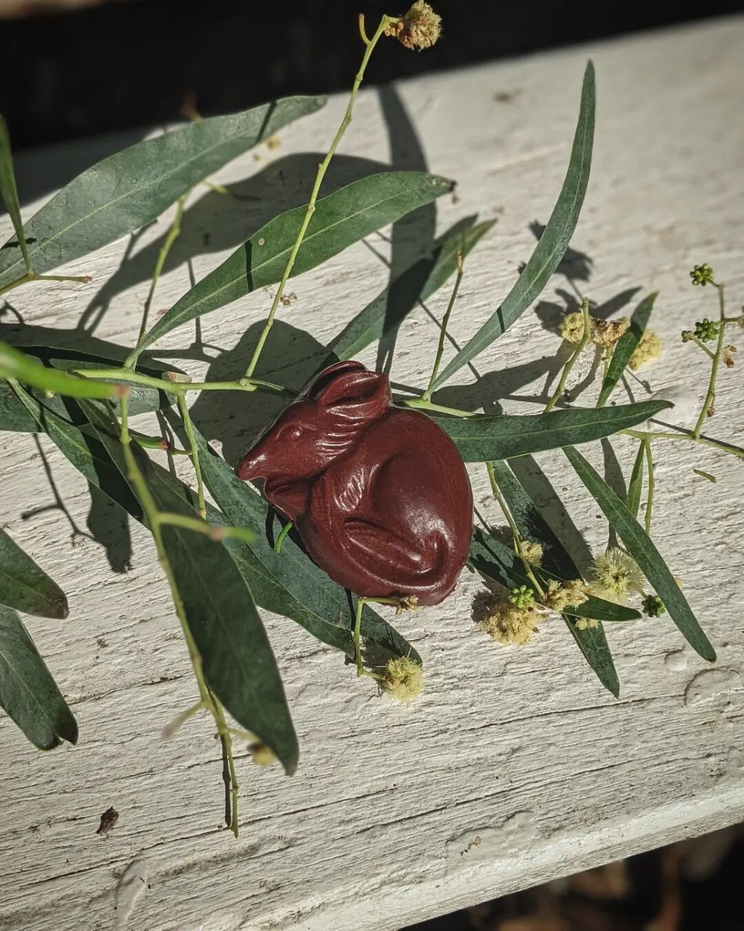 Looking for chocolate bilbies around the farm. 
Hopefully the Easter Bilby found you all and left some nice treats. 

#easterbilbychocolates #easterinautumn #australiannative #bilby #conservation #healthyeaster