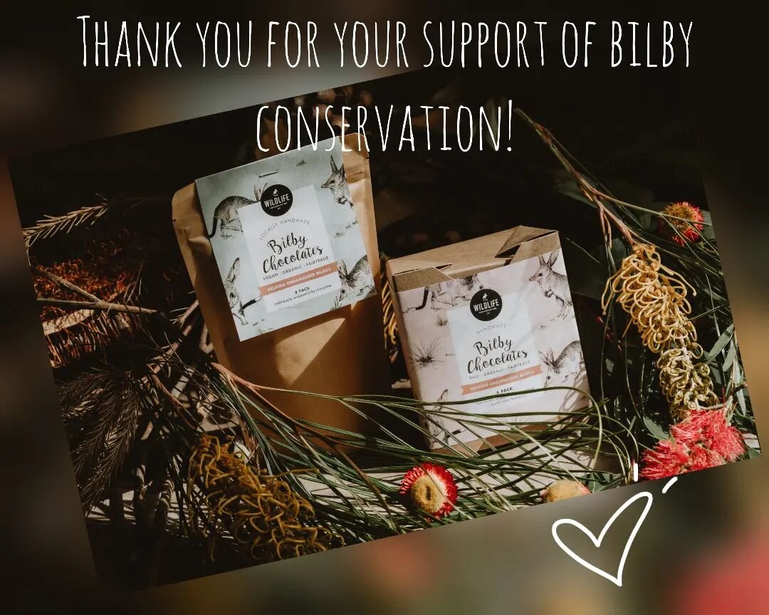 We really appreciate all of you and your help to save bilbies! 💕

#bilbyconservation #welovebilbies #easterbilby #australiannative #bilbiesnotbunnies #bilbychocolate