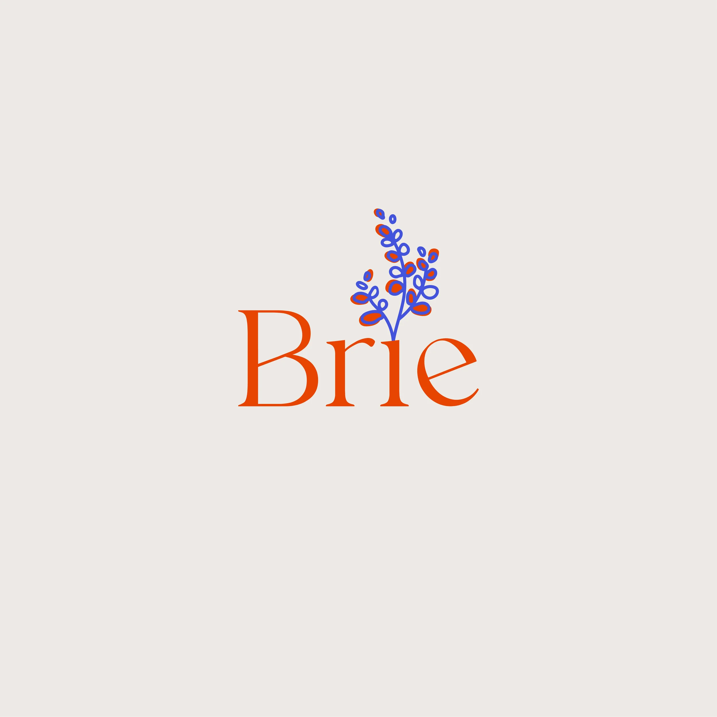 BRIE-INSTA-2021-01.jpg