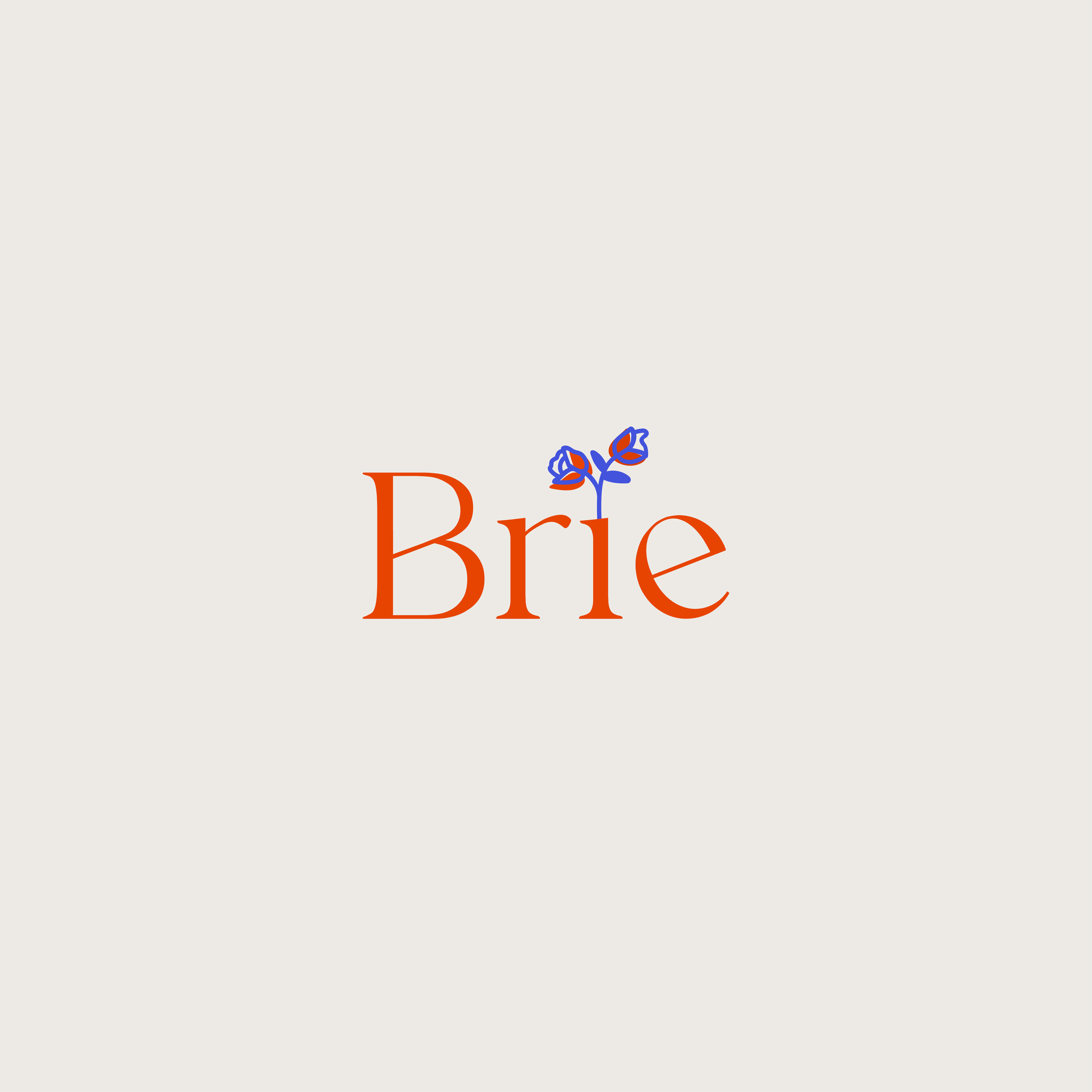 BRIE-INSTA-2021-05.jpg