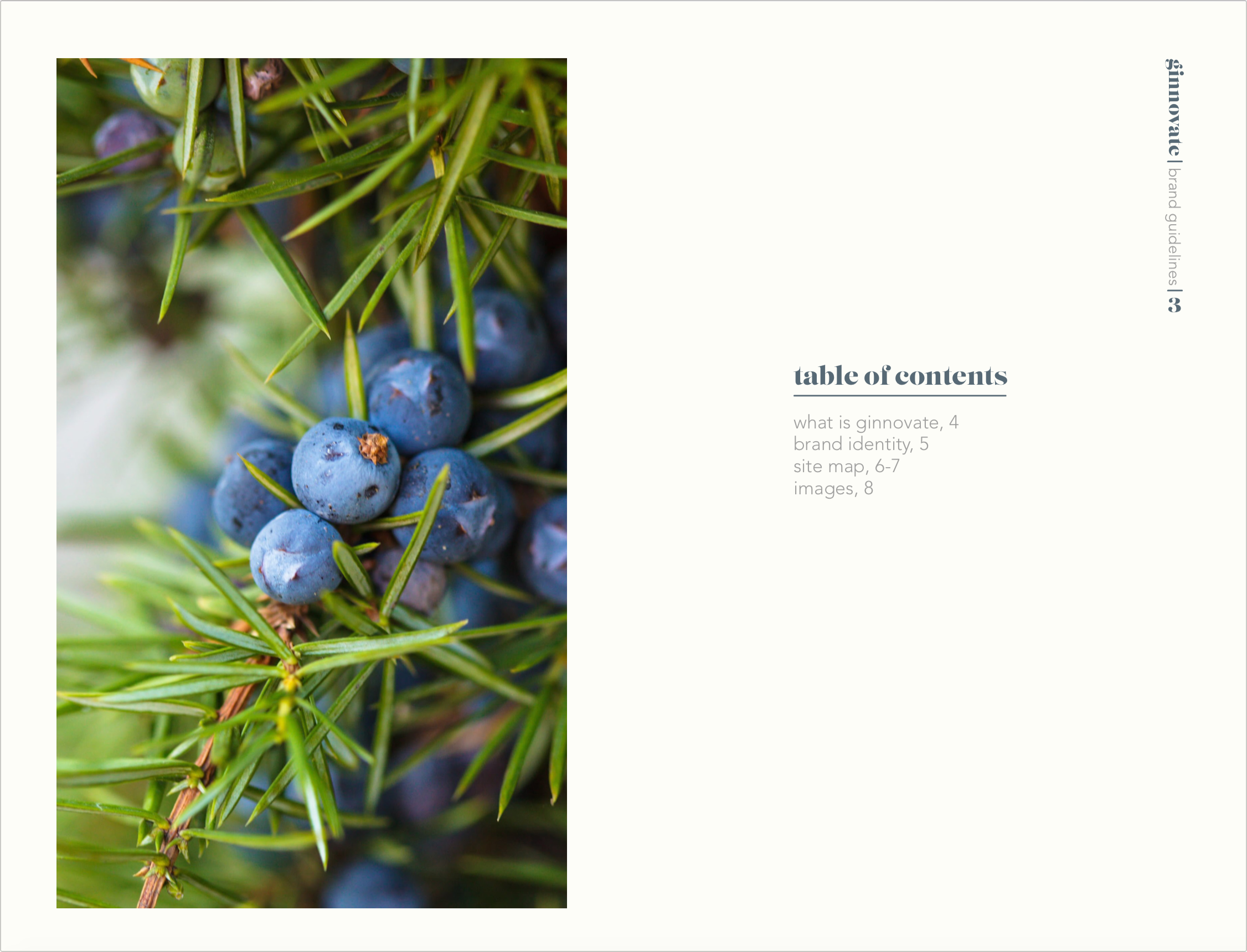 Screen Shot 2020-04-11 at 4.58.27 PM.png