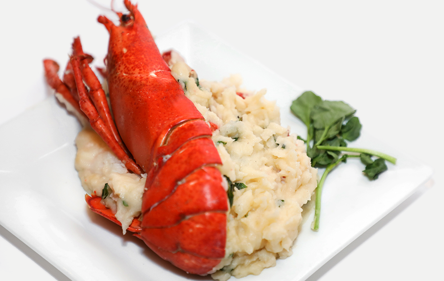 Lobster.png