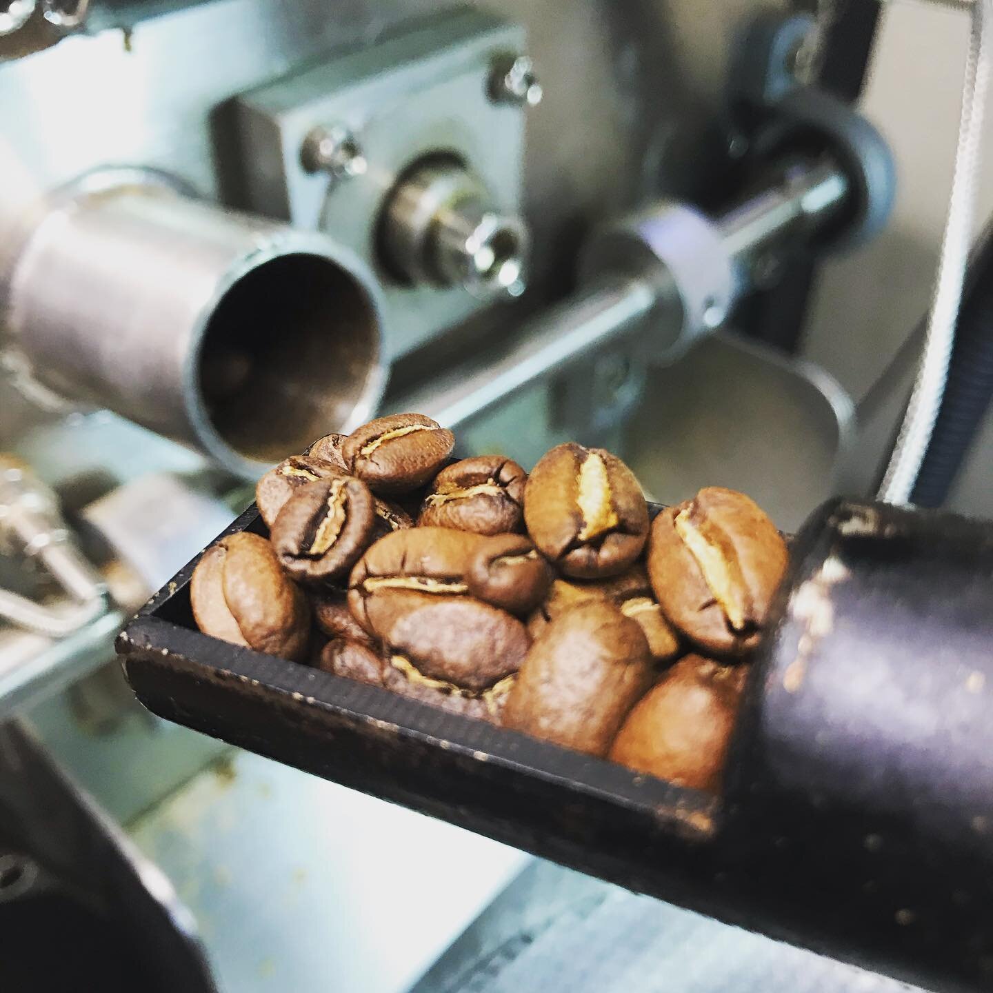 This batch of PNG that just hit my shelf smells purdy nice!
.
.
.
.
.
#towncrierscoffee #smallbatchroaster #coffee #coffeeroaster #smallbusiness #supportsmallbusiness #papuanewguinea #papuanewguineacoffee #yummy