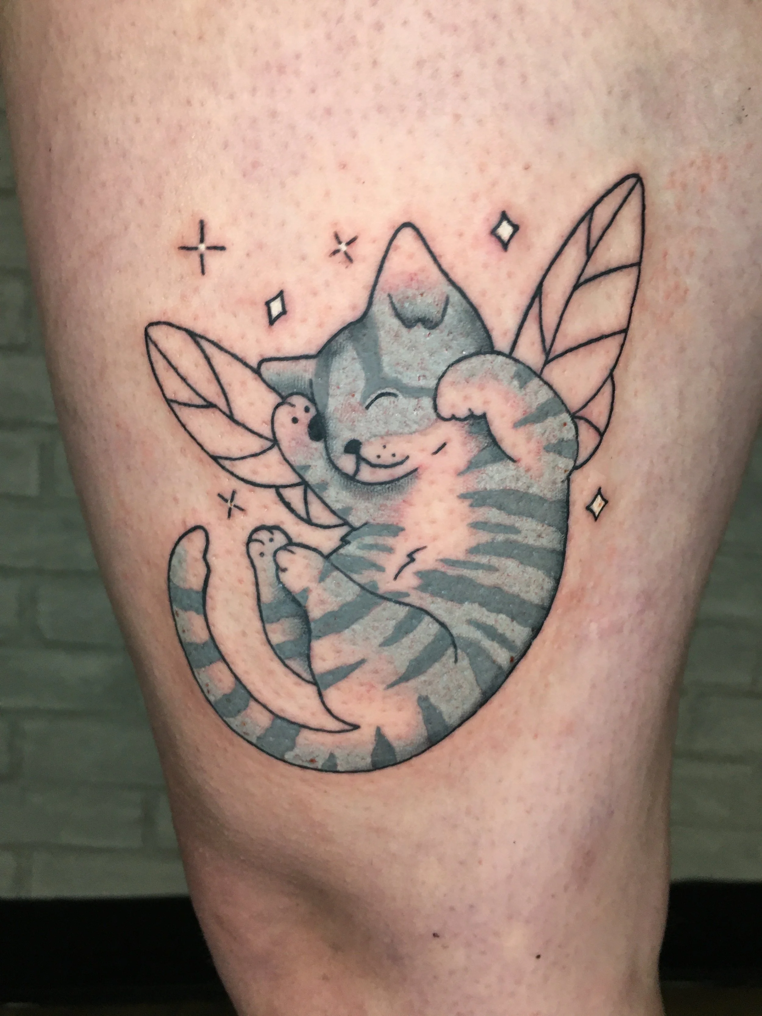 evol tattoo, local tattoos, lehigh valley tattoos, allentown tattoos, black and gray tattoo, cat tattoo, fairy tattoo, cute tattoo, adorable tattoo, animal tattoo, pet tattoo, fantasy tattoo.jpeg