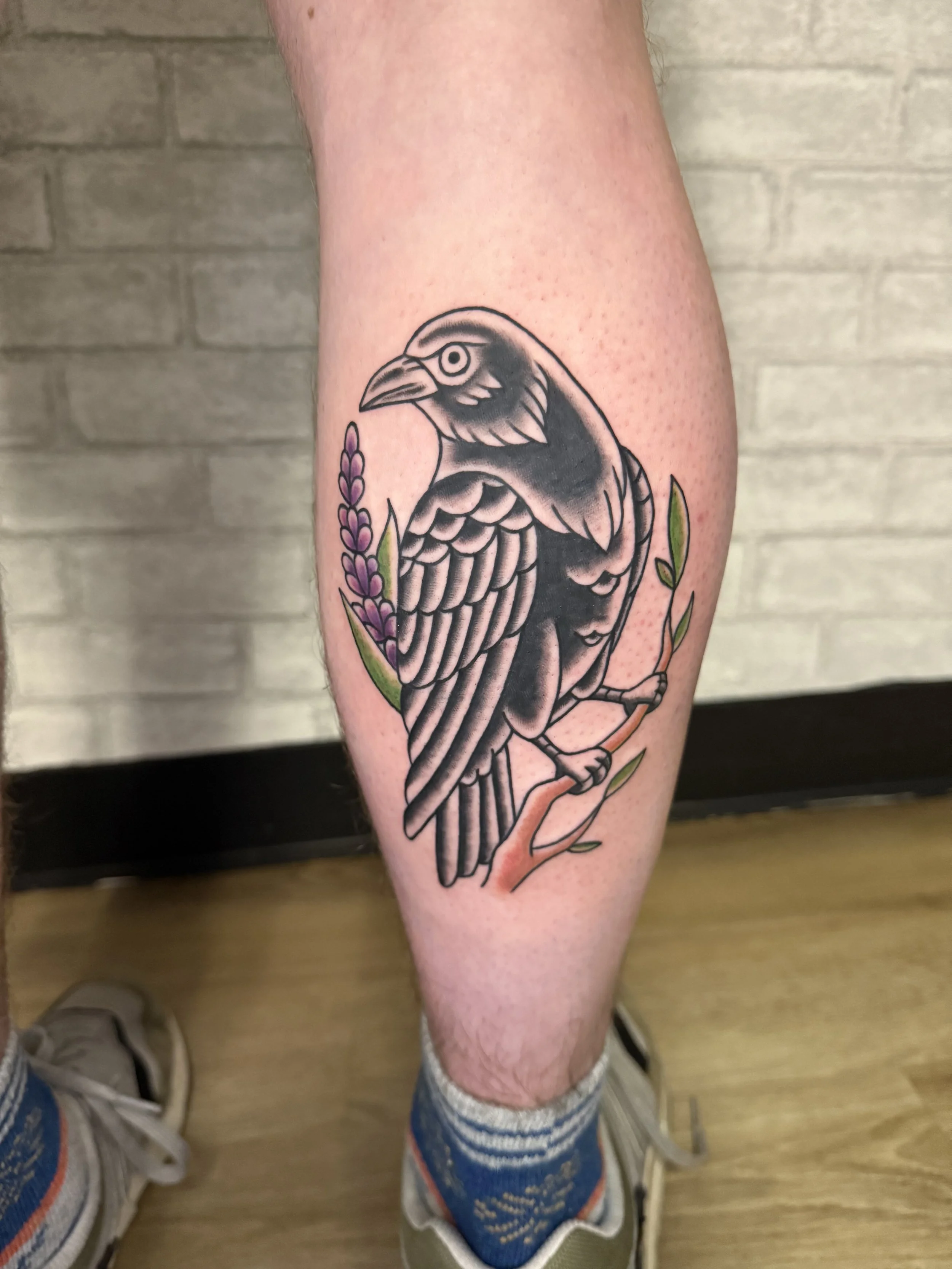 evol tattoo, local tattoos, lehigh valley tattoos, allentown tattoos, black and gray tattoo, color tattoo, crow tattoo, raven tattoo, nature tattoo, bird tattoo, traditional tattoo, cool tattoo.jpeg