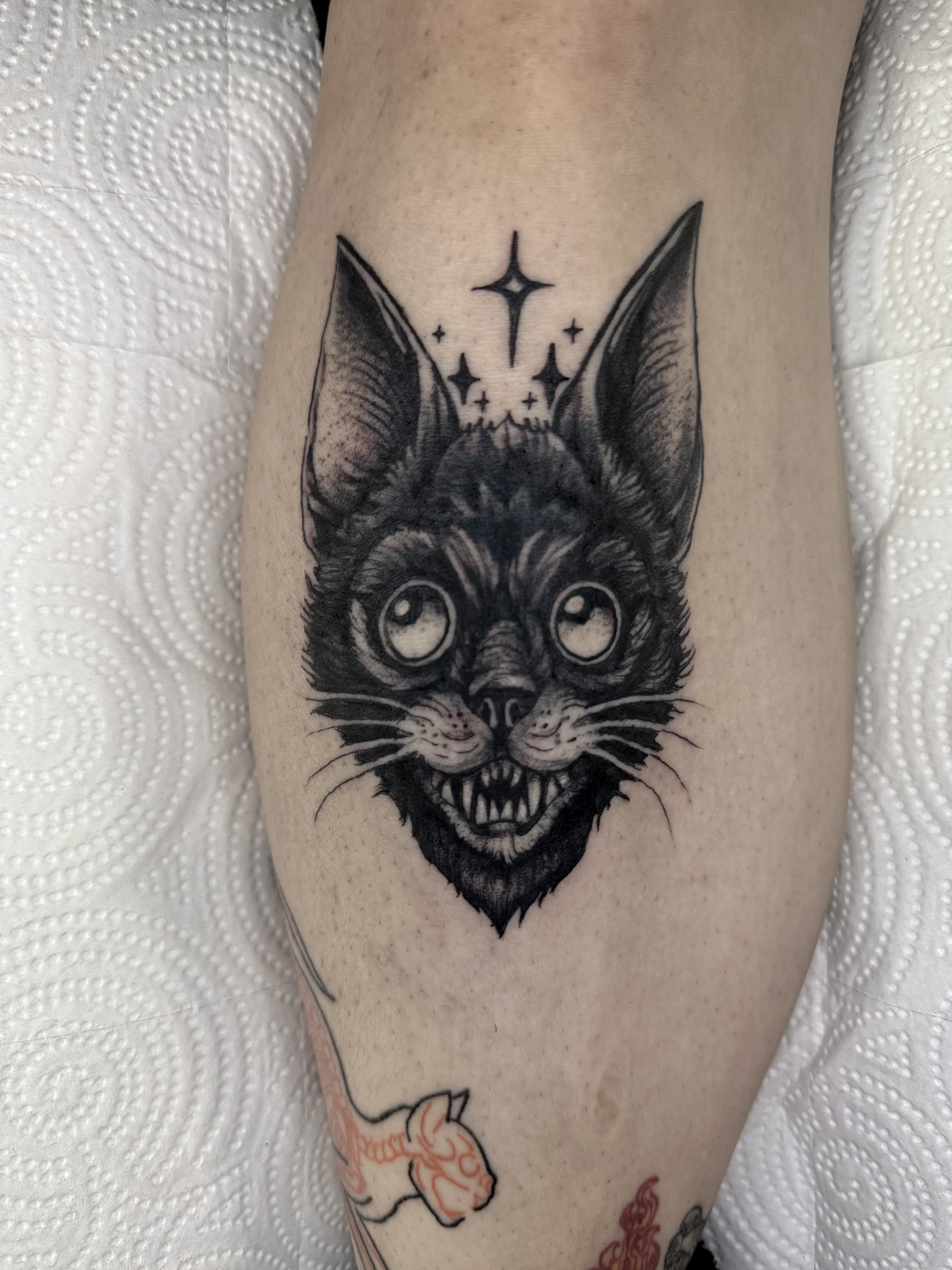 evol tattoo, local tattoos, lehigh valley tattoos, allentown tattoos, catasauqua tattoos, black and gray tattoo, cat tattoo, witchy tattoo, gothic tattoo, animal tattoo.jpeg
