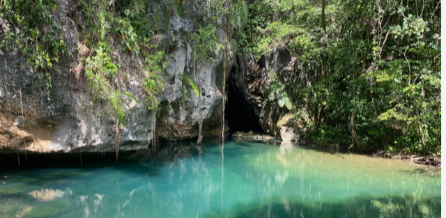 denai belize +pool+of+water.webp