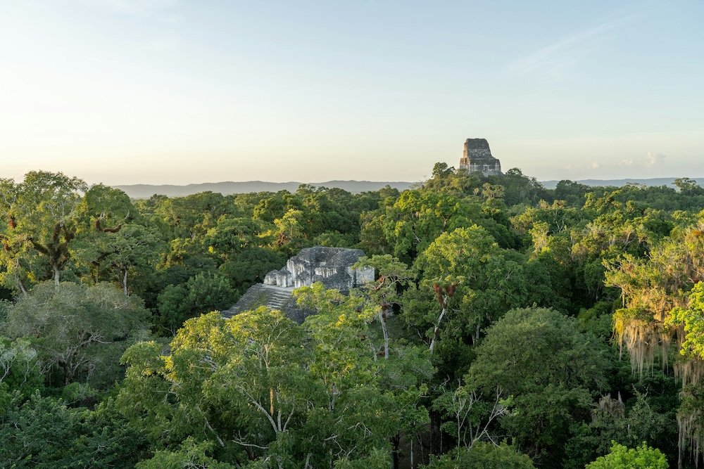 tikal jungle.jpg
