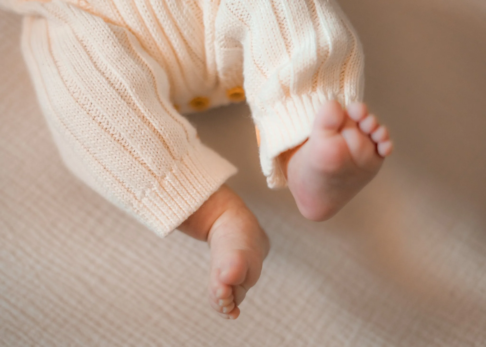 Southeast Missouri Photographer