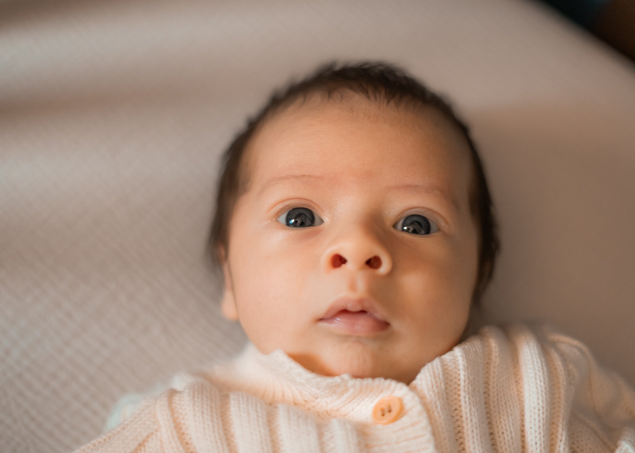 Southeast Missouri Photograrpher