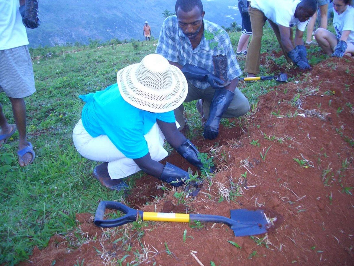 More planting