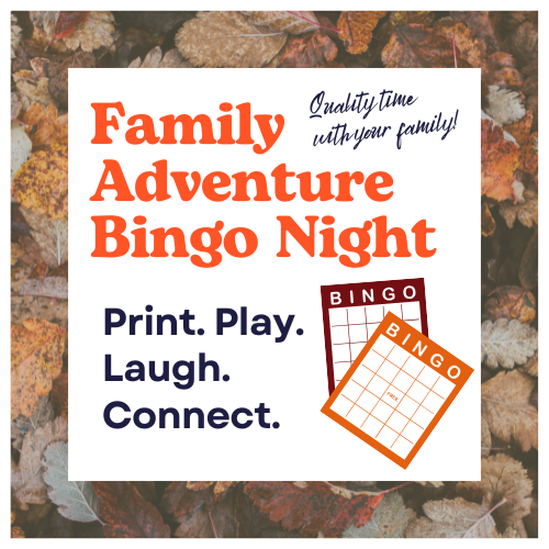 Family Adventure Bingo Night Cover