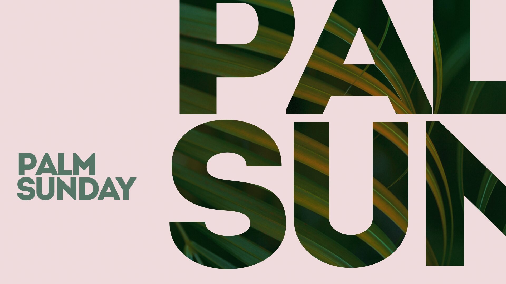 Join us this Sunday as we celebrate Palm Sunday! It's a day of significance as we commemorate Jesus' triumphant entry into Jerusalem. Let's come together to honor this momentous occasion and reflect on its meaning. You're invited to our services as w