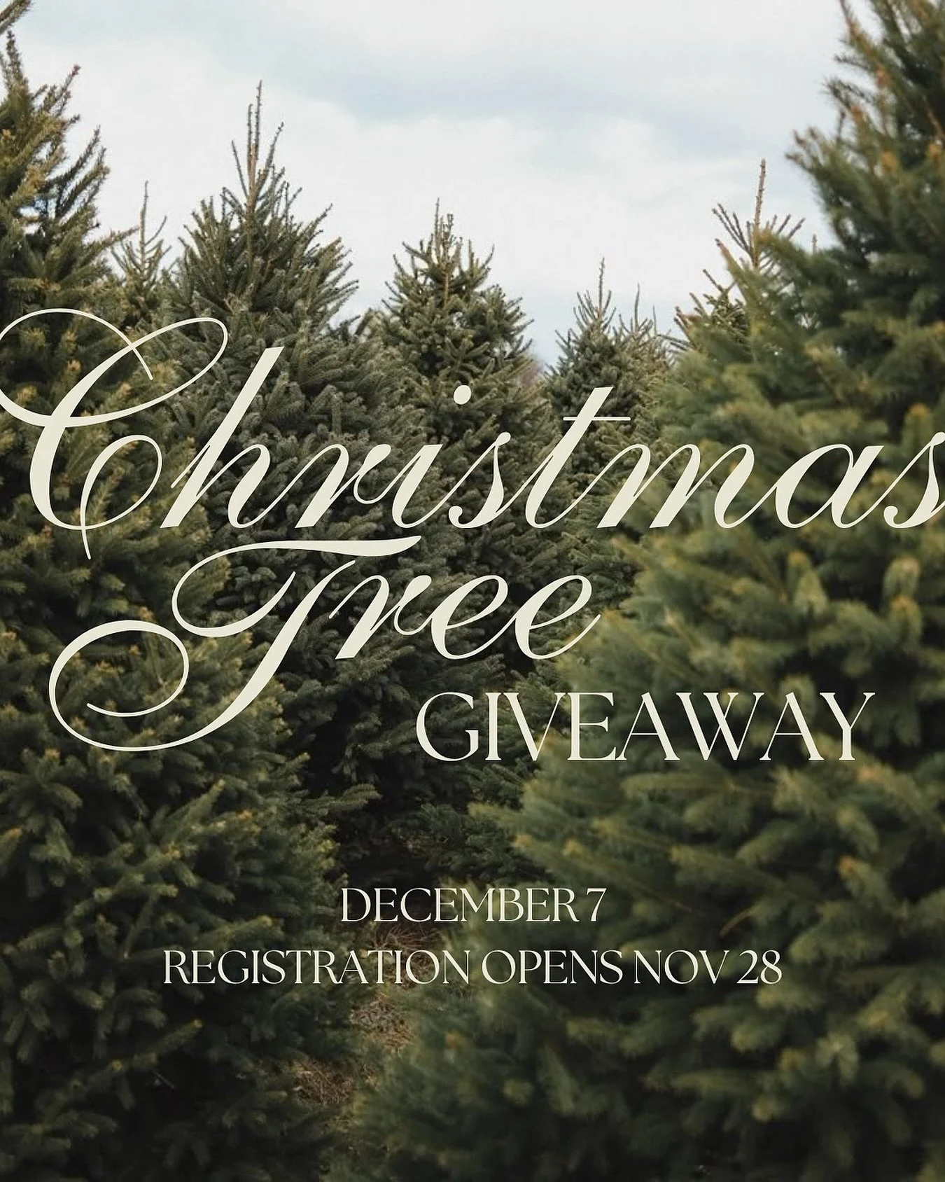 Our annual Christmas Tree Giveaway event is right around the corner! 🎄

At Crosspoint, we care deeply for the families in our community! This Christmas season, we&rsquo;re excited to bless families in need by giving away FREE Christmas trees! Mark y