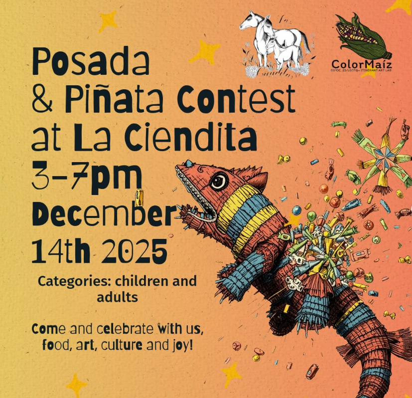 Posada &amp; Piñata Contest
