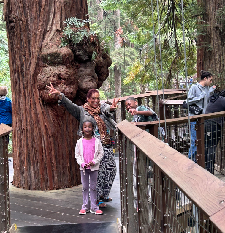 Screen Shot 2026-04-06 at 8.42.19 PM.png