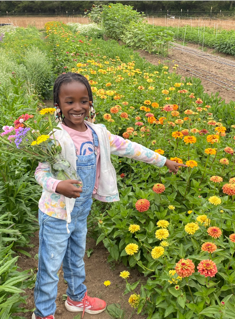 Screen Shot 2026-04-06 at 8.41.40 PM.png