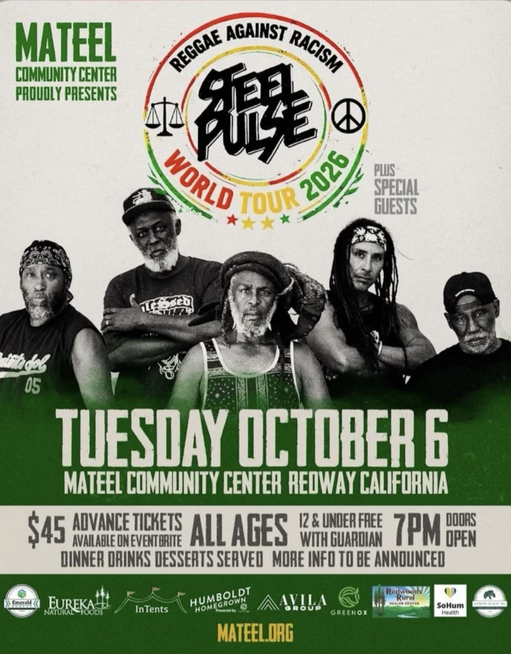 Steel Pulse Concert 