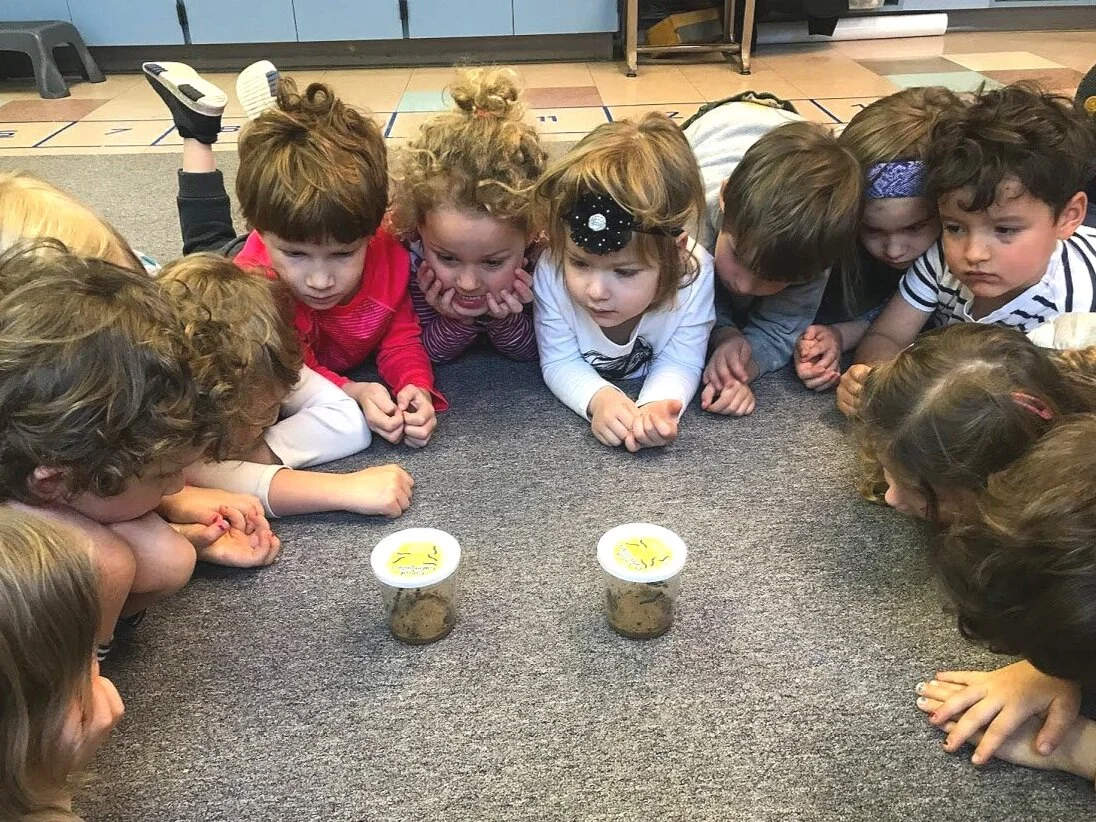 Northeast Community Child Development Center