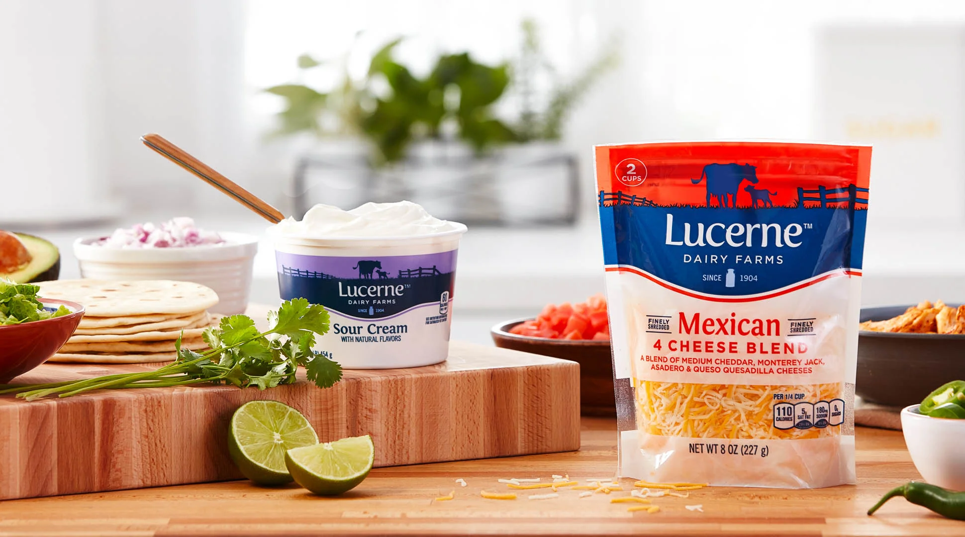 Lucerne2Cow_Header.jpg