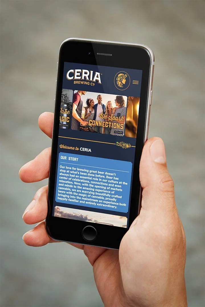 CERIA_Carousel_3.jpg