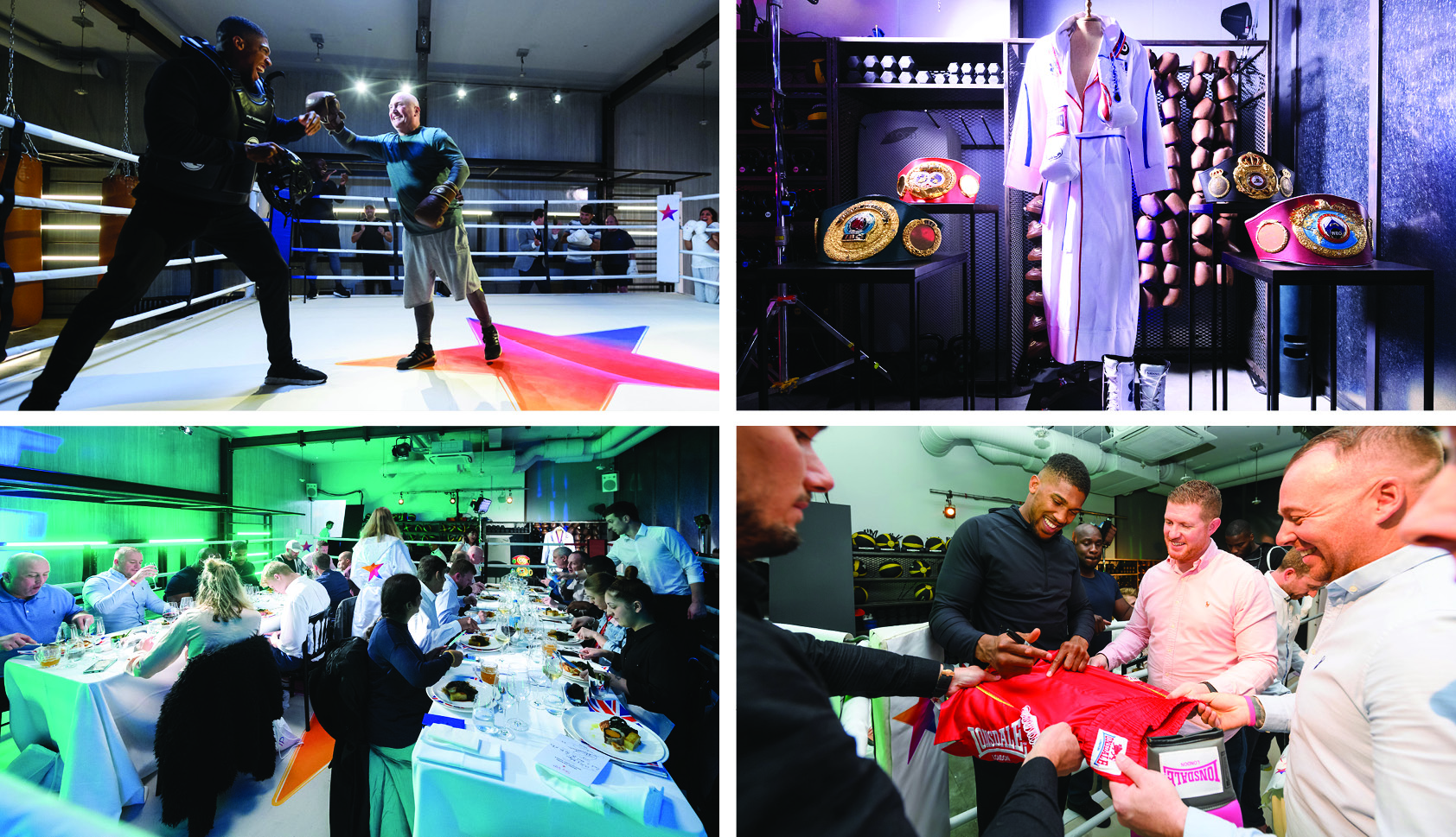 Sky VIP - Anthony Joshua