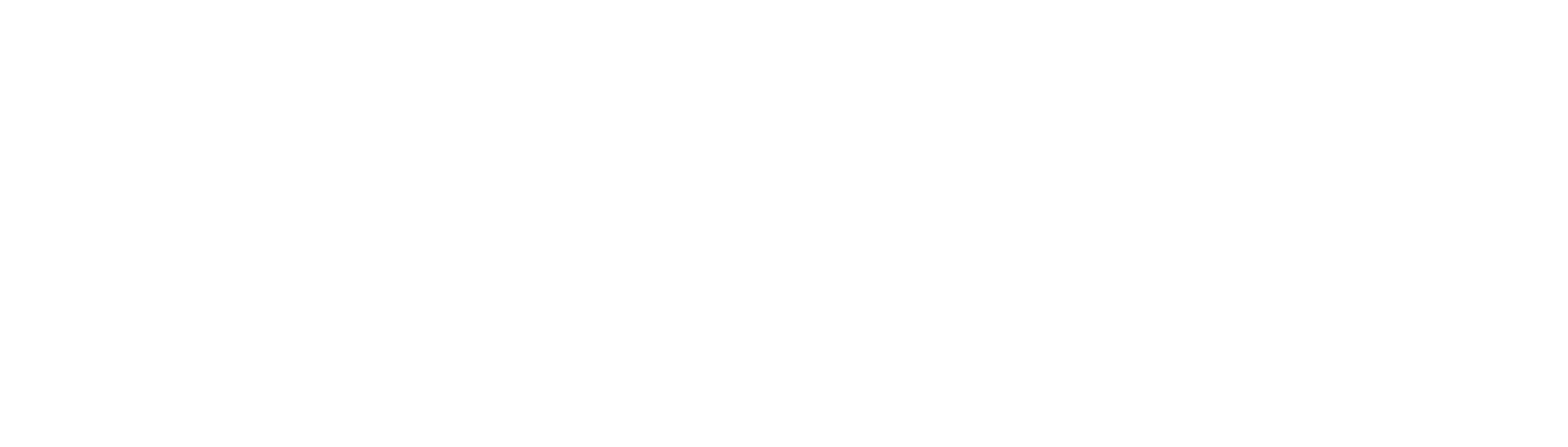 Portfolio Illustrator | Advanced