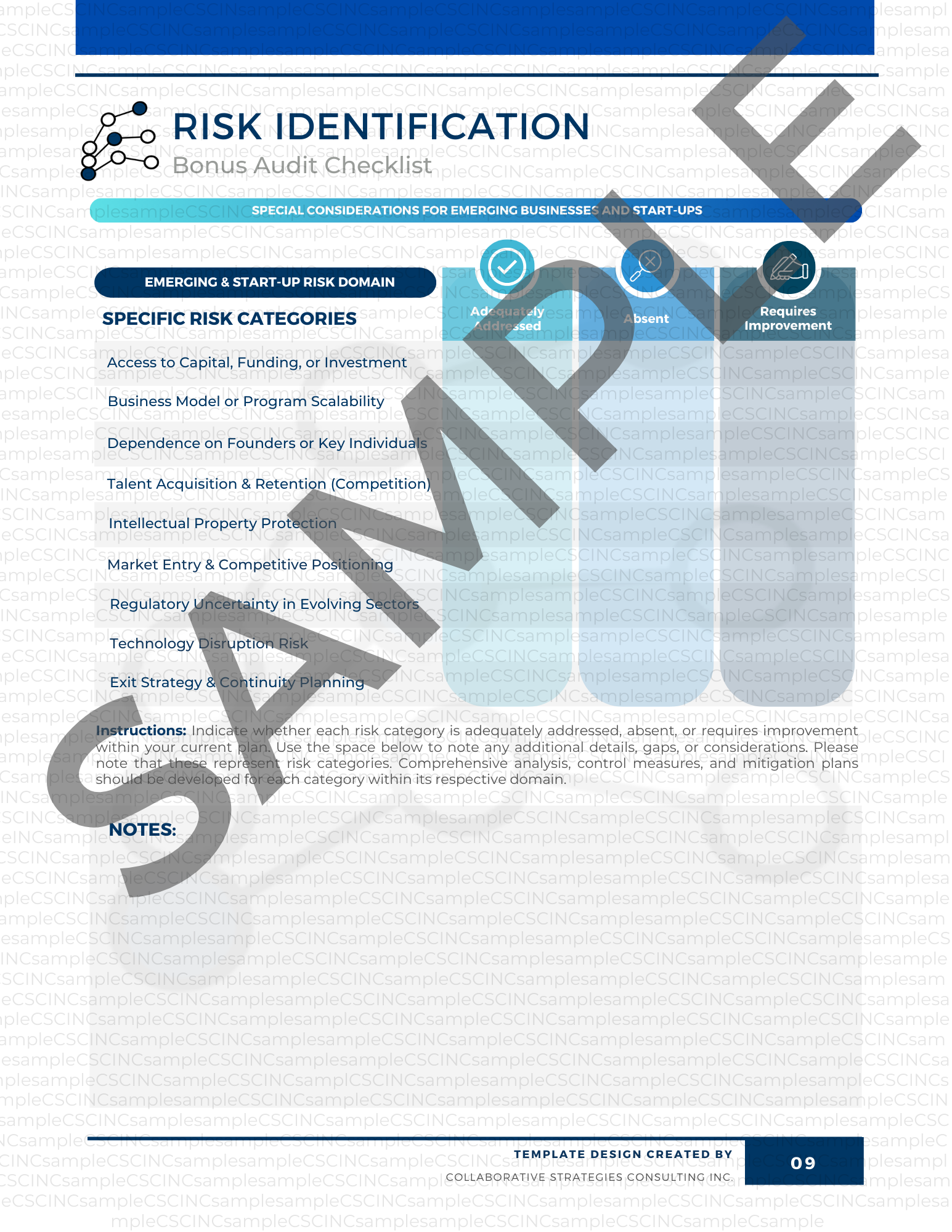 Comprehensive Risk Audit