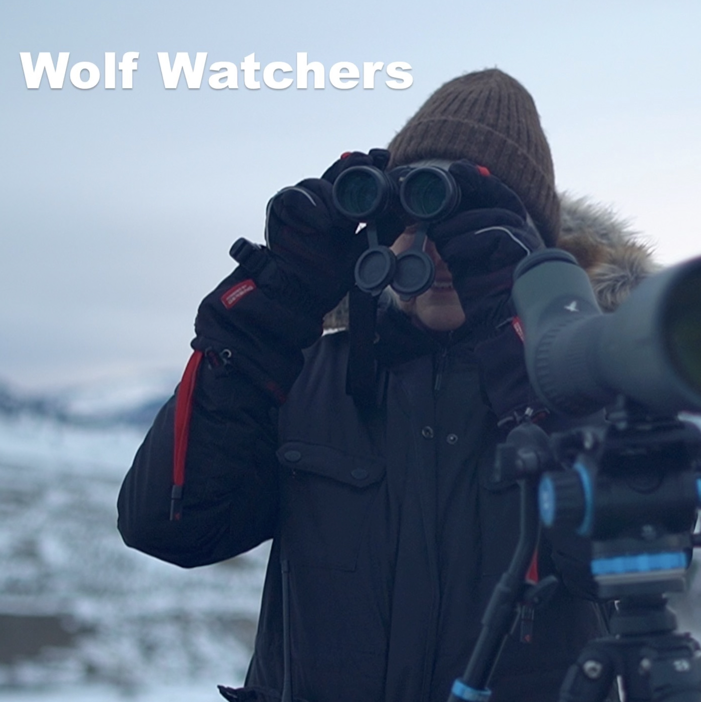 Wolf Watchers