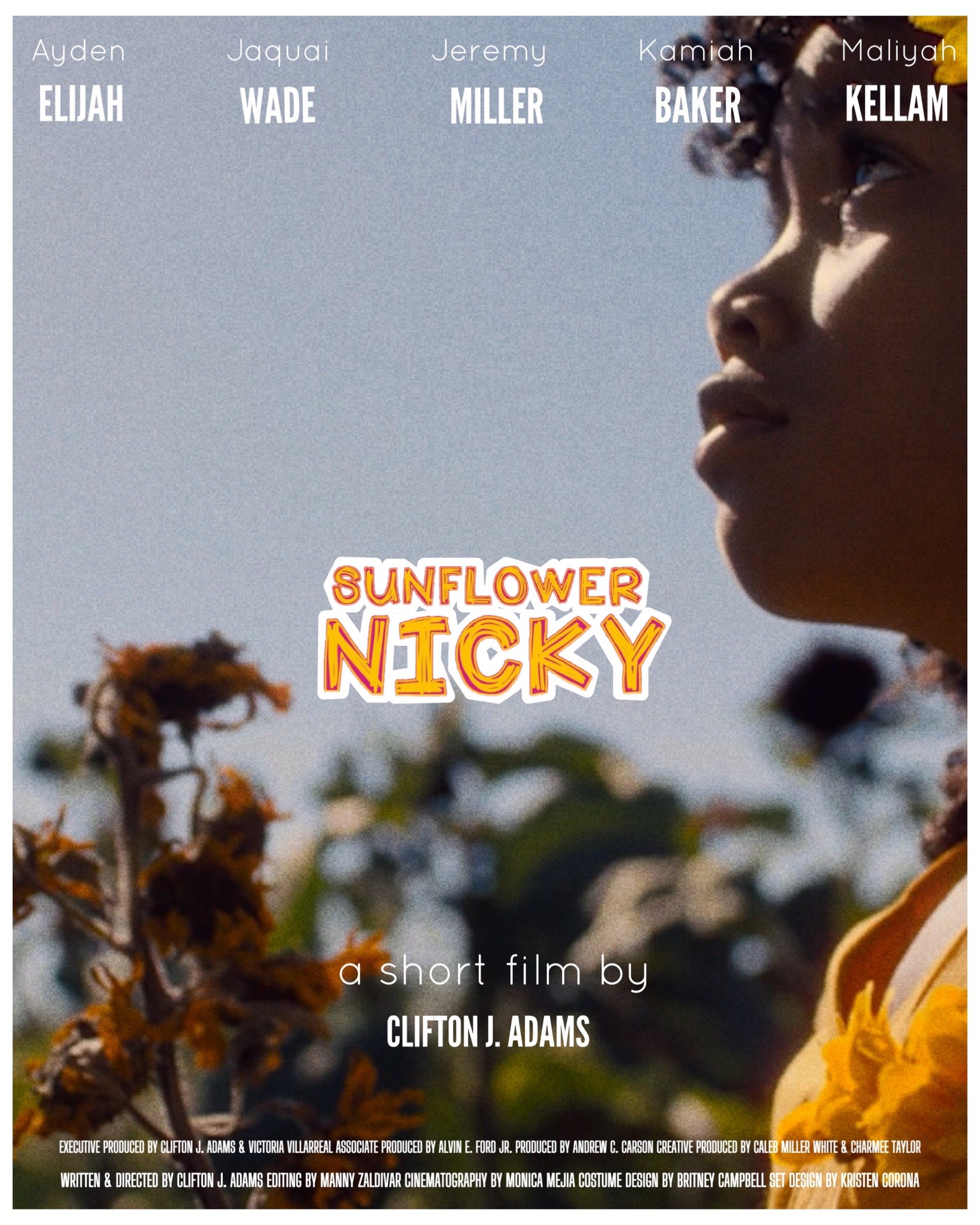 Sunflower Nicky