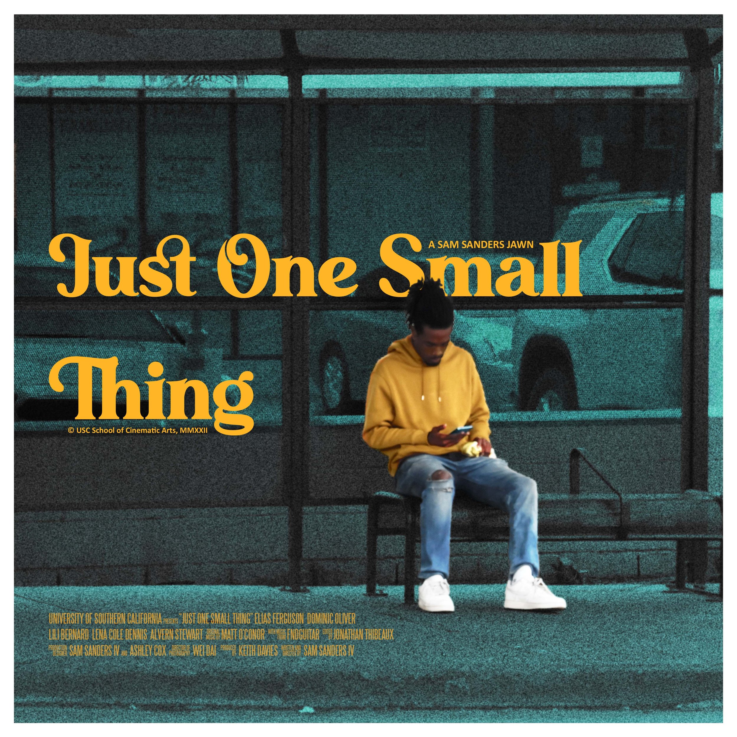 Just One Small Thing