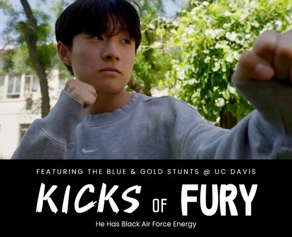 Kicks of Fury