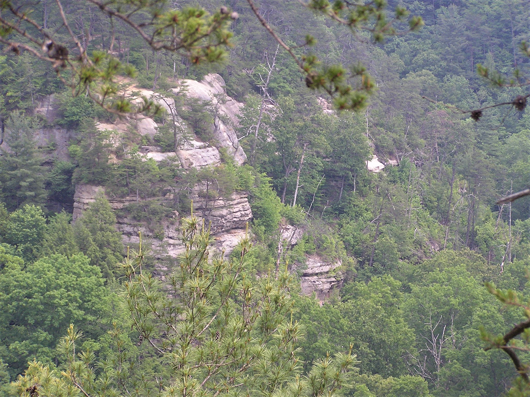 View from Chimney Rock - Red River Gorge, Kentucky