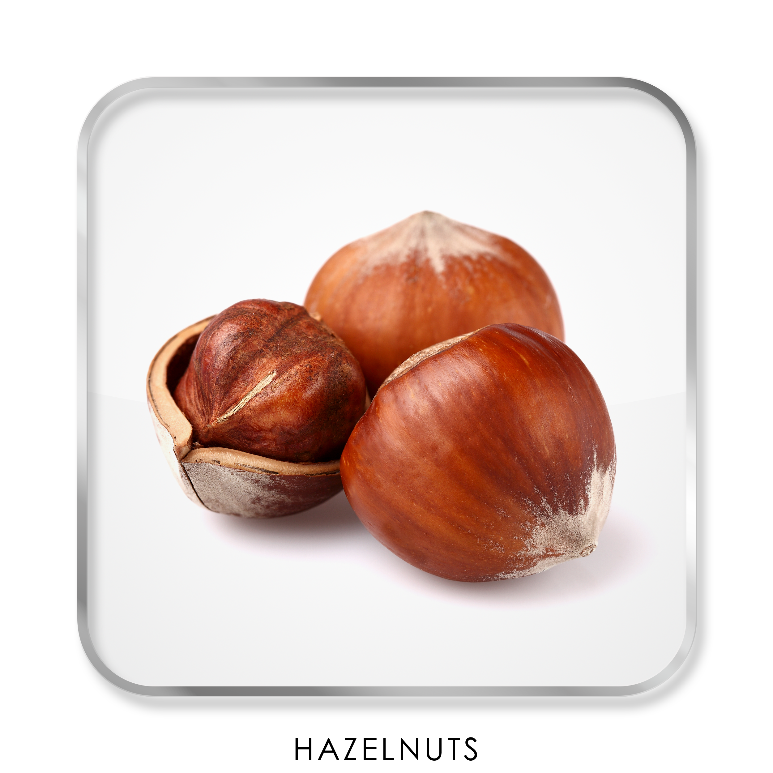Hazelnuts_Text_2500px.png