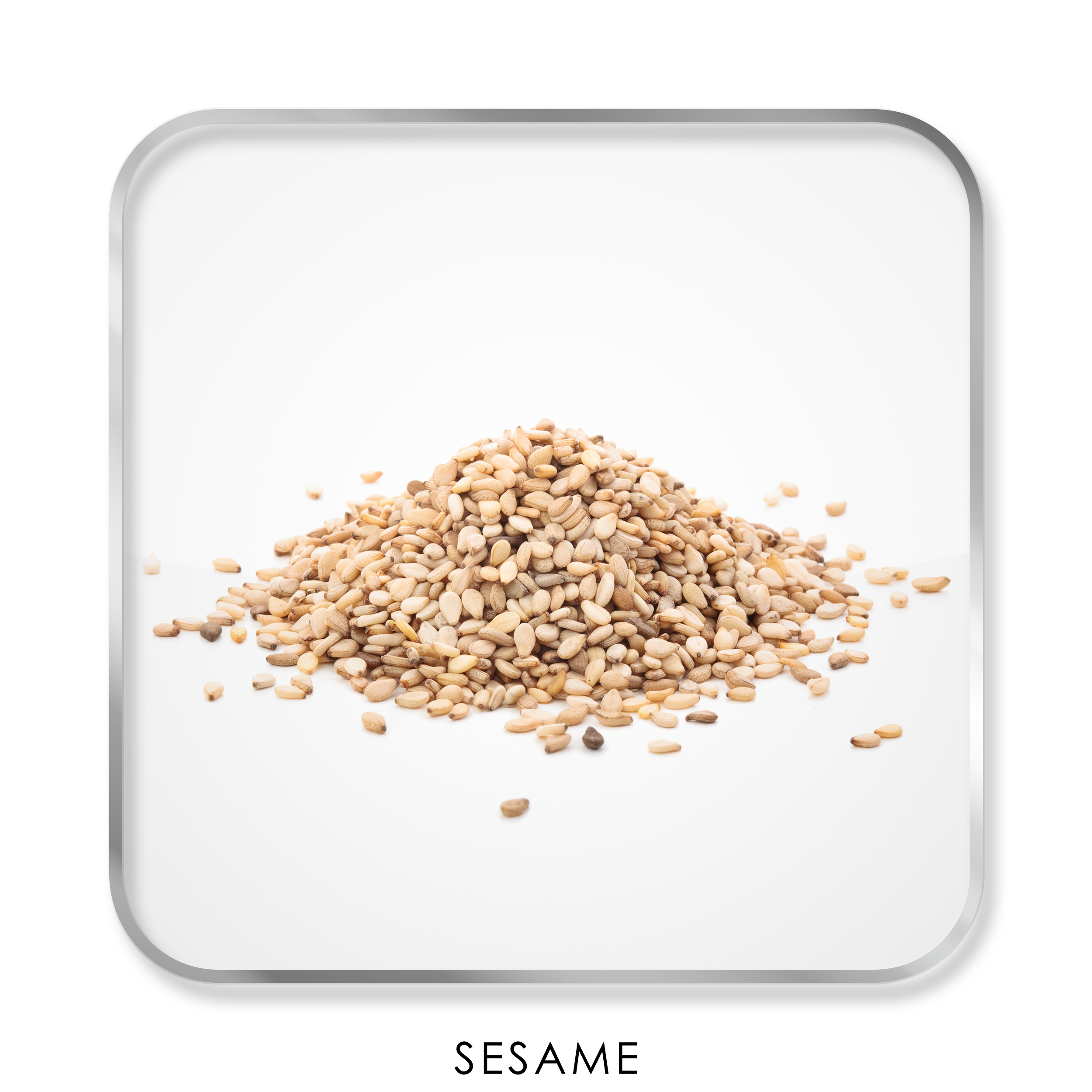 Sesame_Text_2500px.png