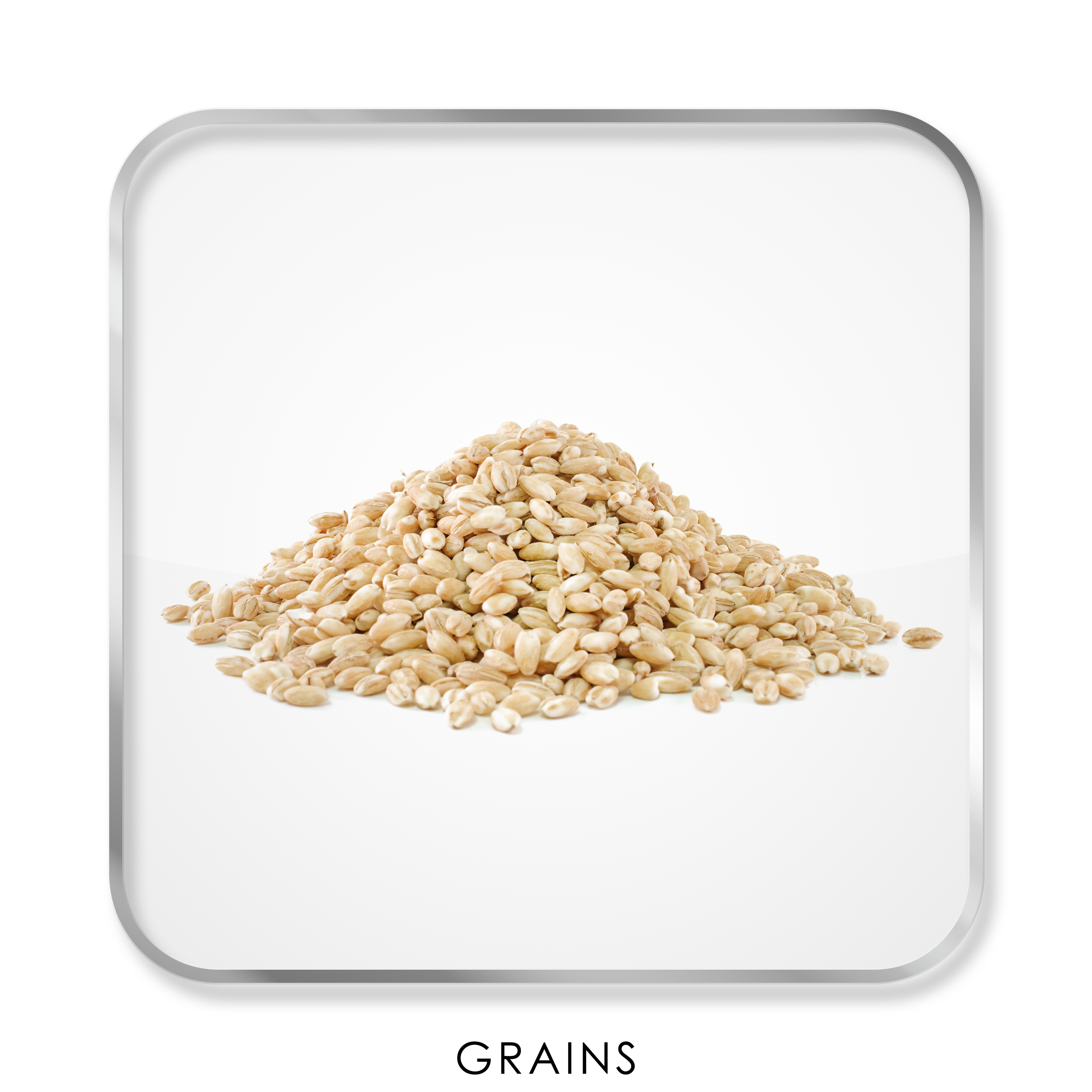 Grains_Text_2500px.png