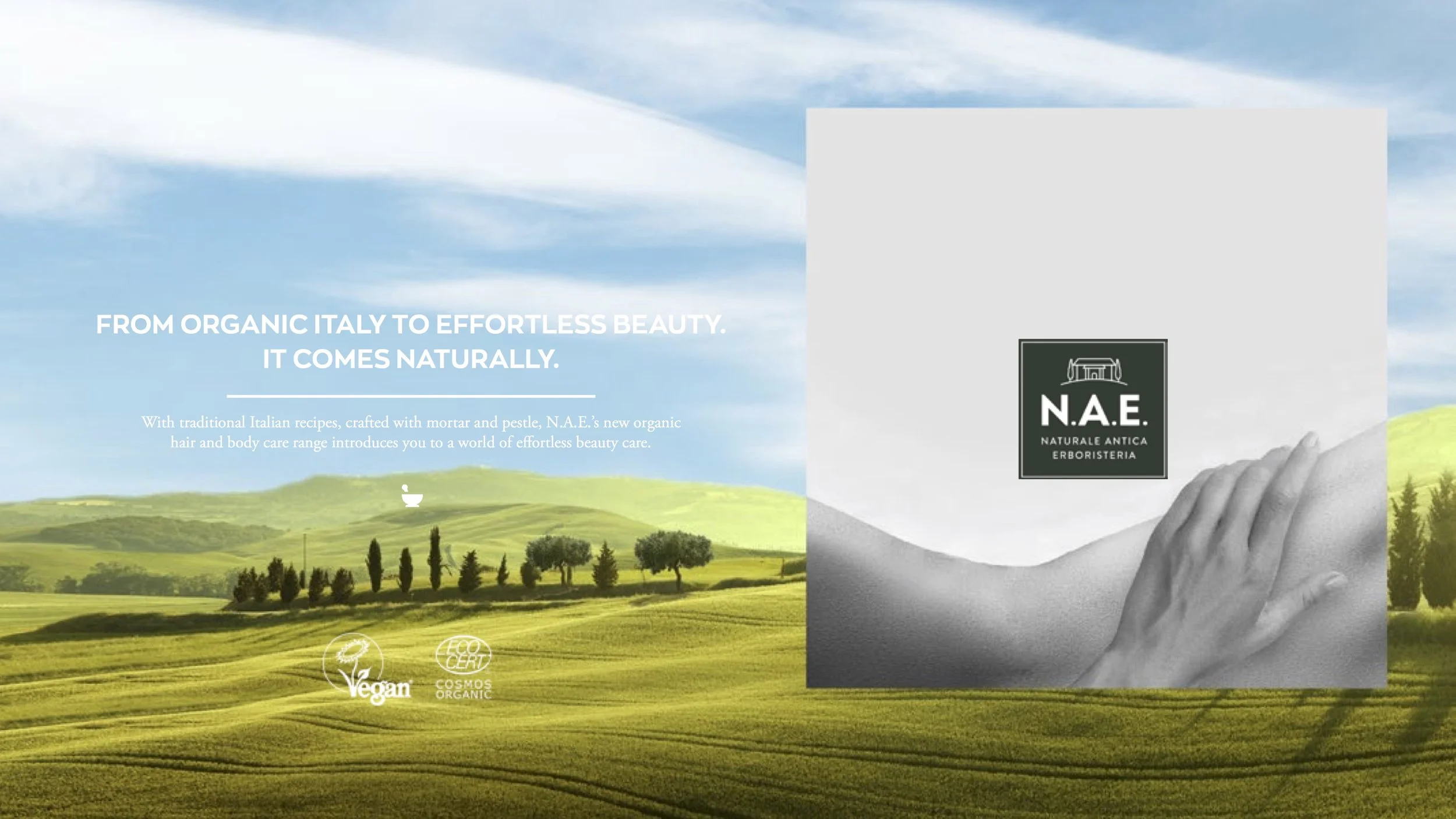 NAE Print 01.jpg