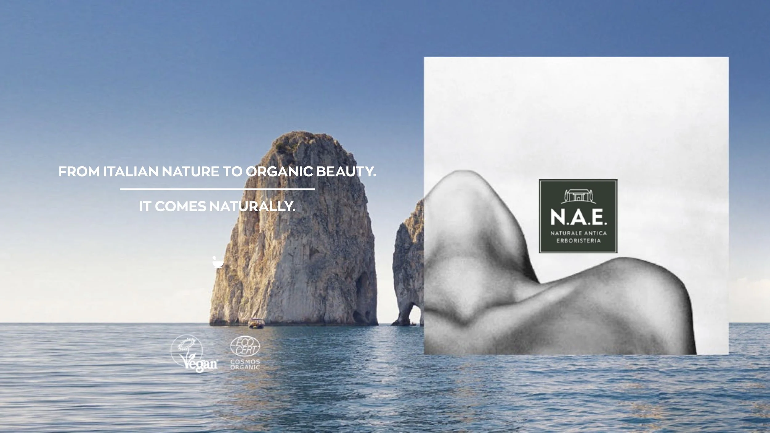 NAE Print 02.jpg