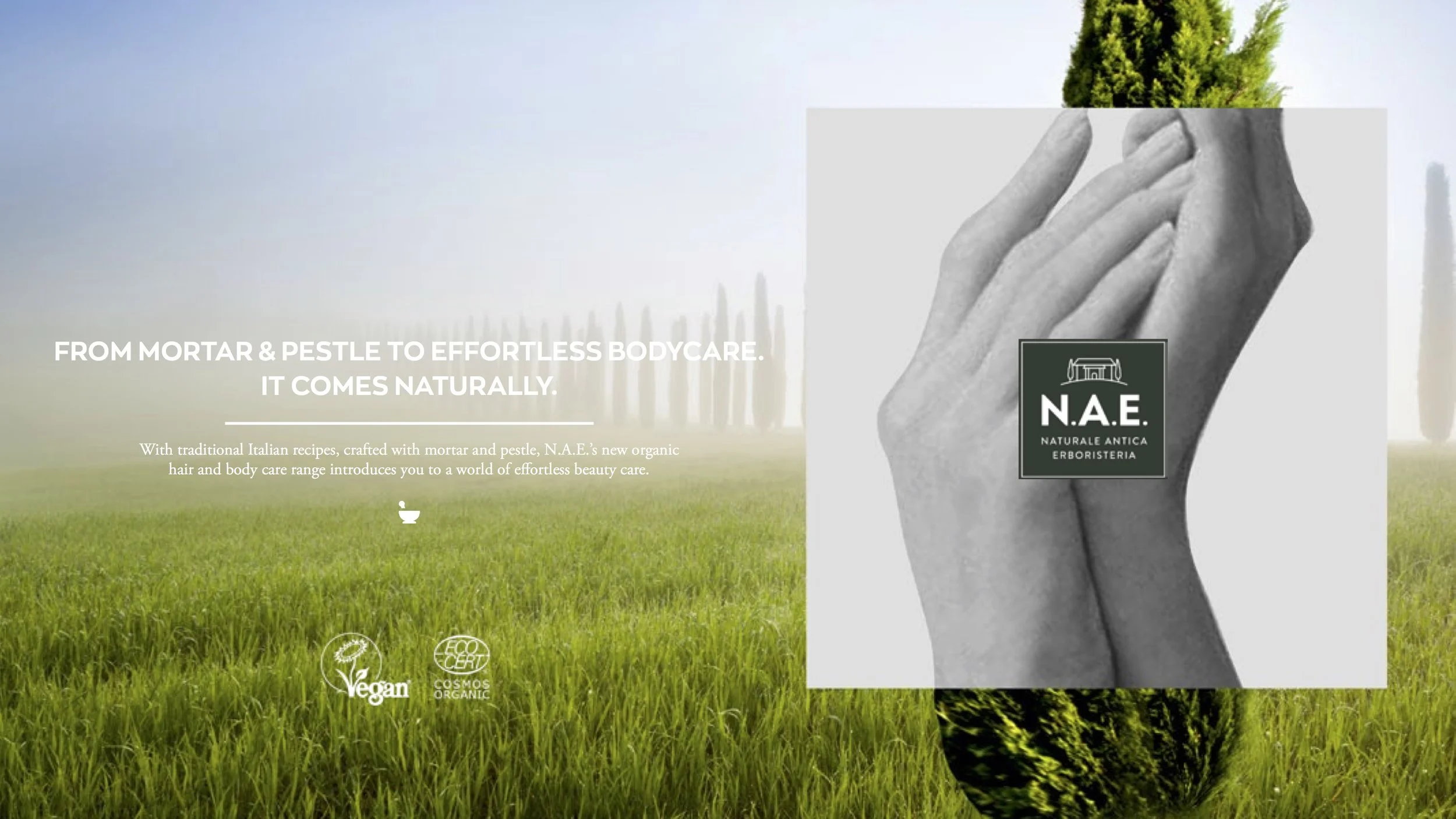 NAE Print 04.jpg