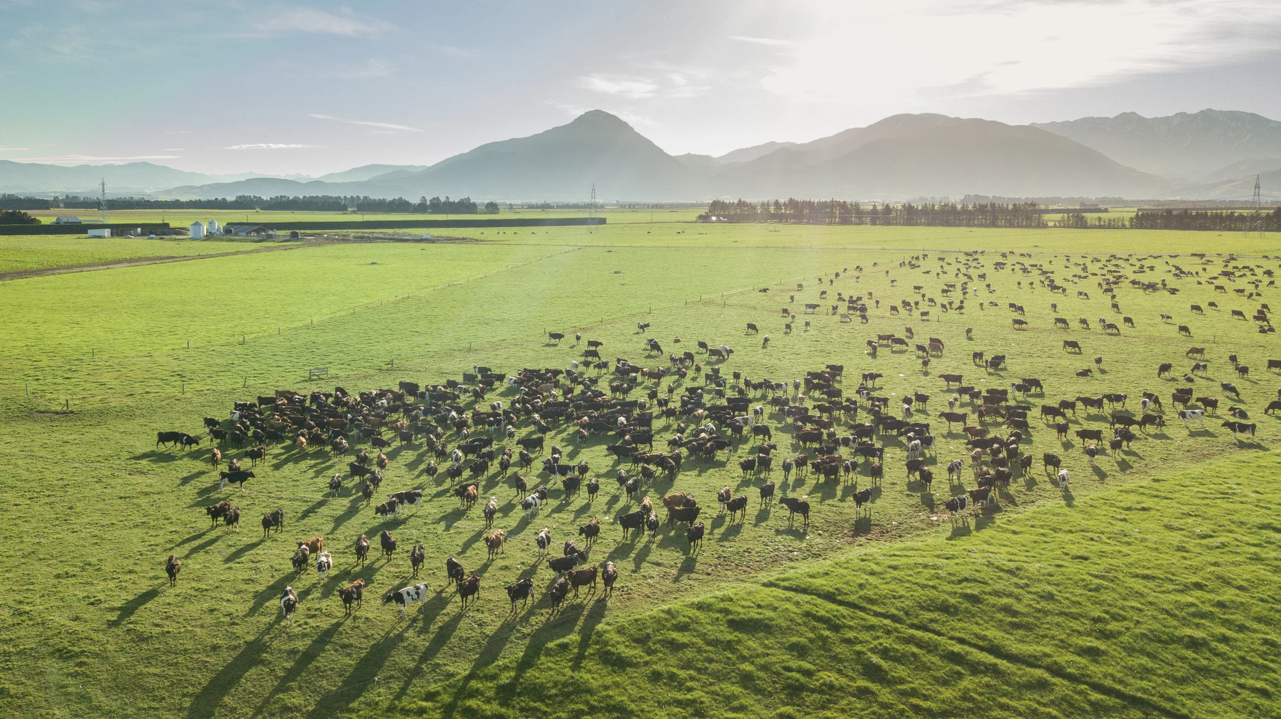 Southern-Pastures-staveley-drone-0015.jpg