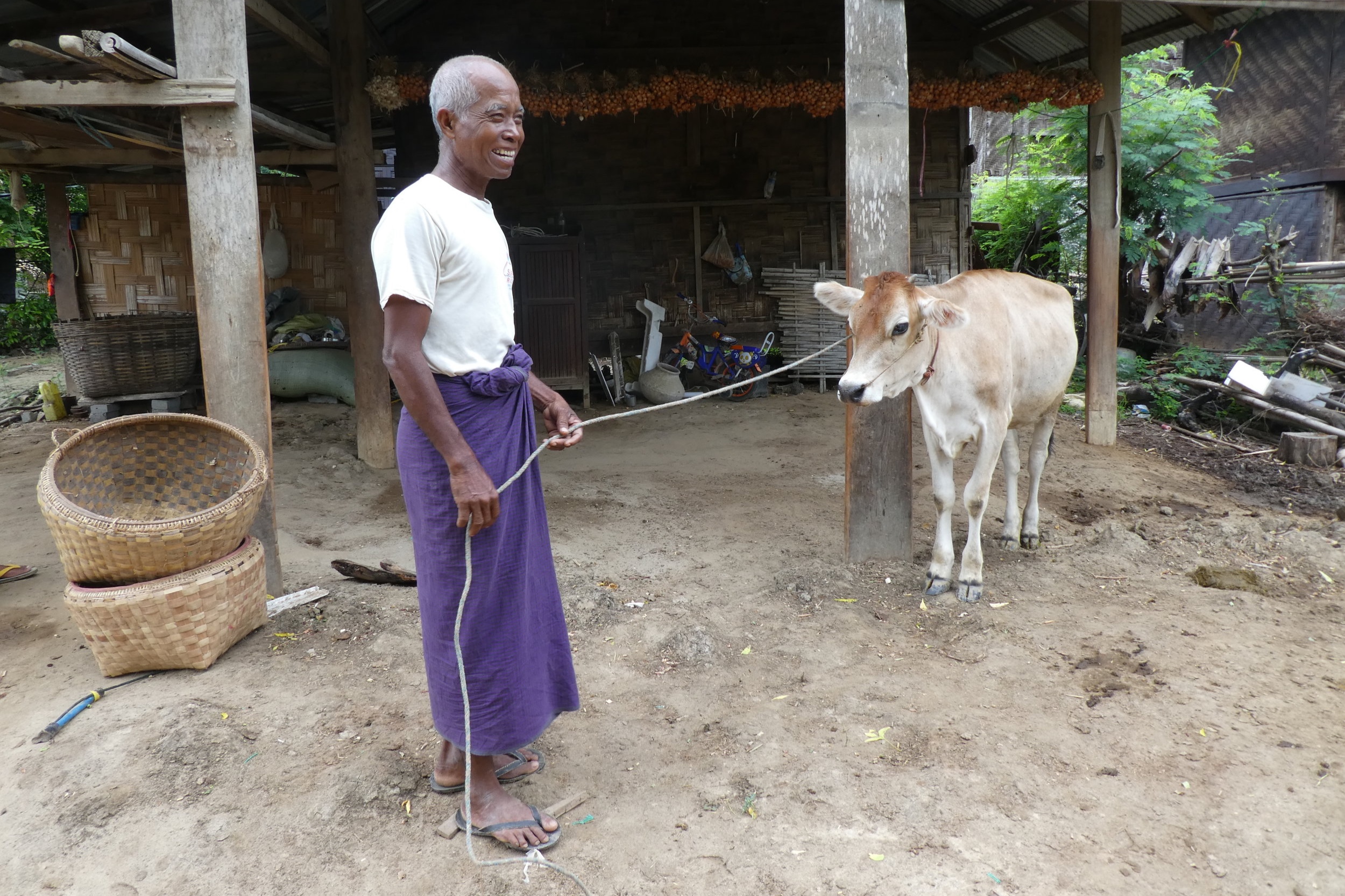 Changing Myanmar farms and livelihoods - an update from the field — The  AgriBusiness Group